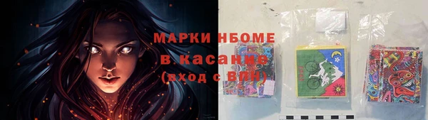 ECSTASY Алзамай