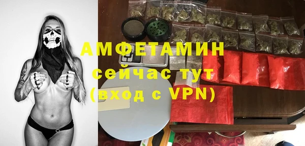 ECSTASY Алзамай