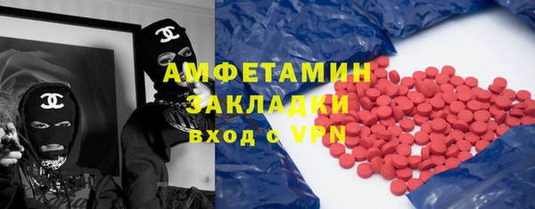 ECSTASY Алзамай