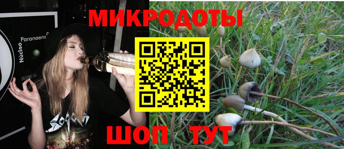 Ишим  как найти   Галлюциногенные грибы прущие грибы  Вход с VPN  Псилоцибиновые грибы Cubensis 