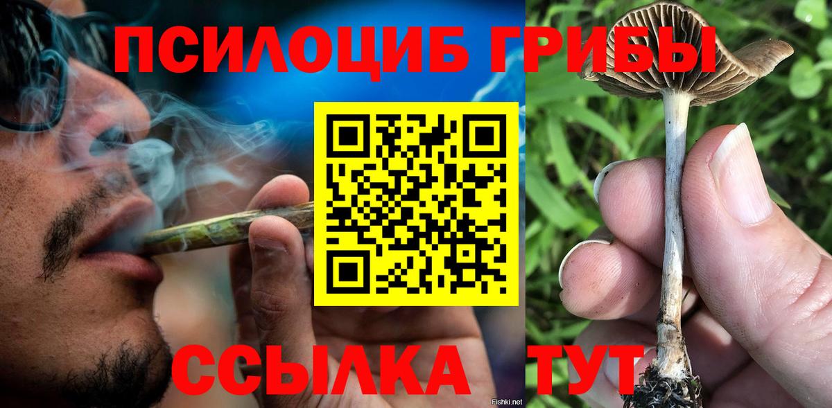 Галлюциногенные грибы прущие грибы Ишим